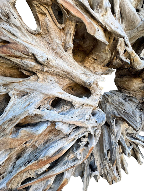 MESA RAÍZ 156 X 180 X 40